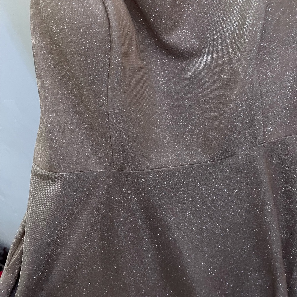 Elegant Shimmering Dress